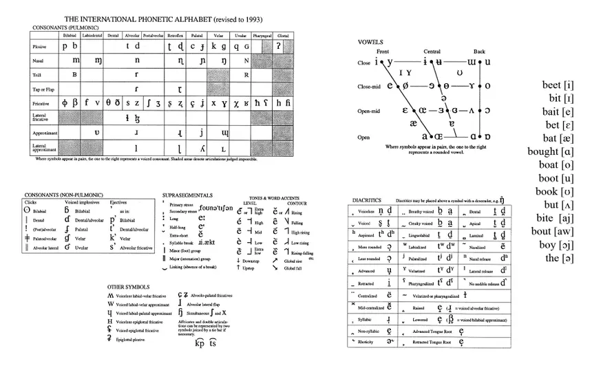 International Phonetic Alphabet Chart showing all speech sounds organized by place and manner of articulation